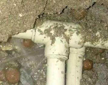 阳信测漏水多少钱