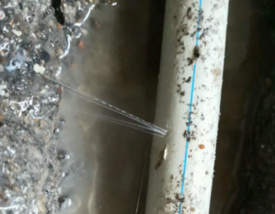 阳信测漏水哪家好