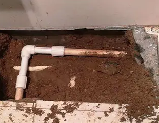 阳信测漏水哪家好